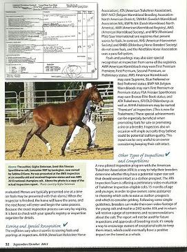 Lancaster ROF in Warmbloods Today magazine