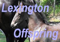 Lexington Offspring